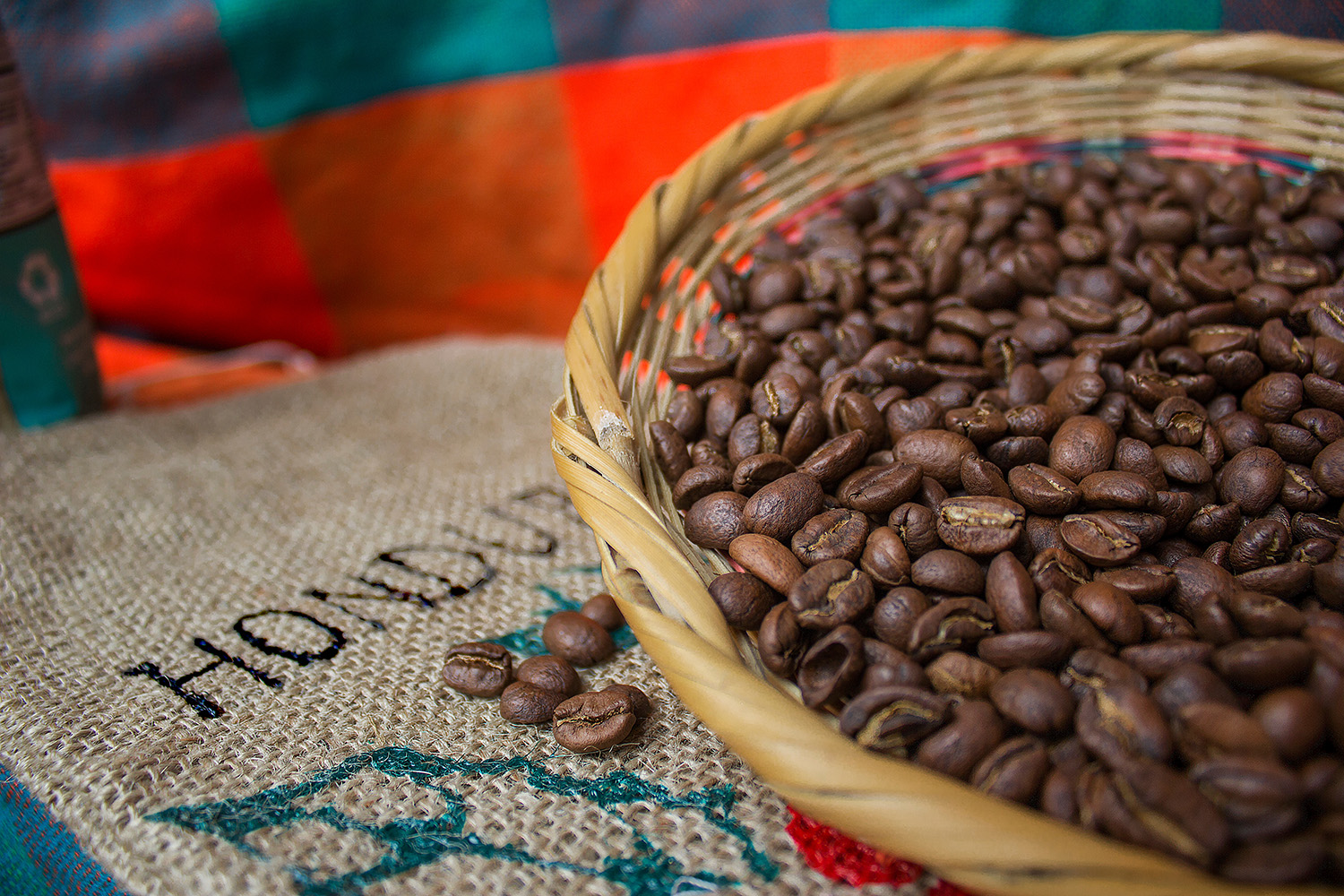 Freshly roasted Honduras coffee beans in a woven basket resting on a burlap Honduras sack